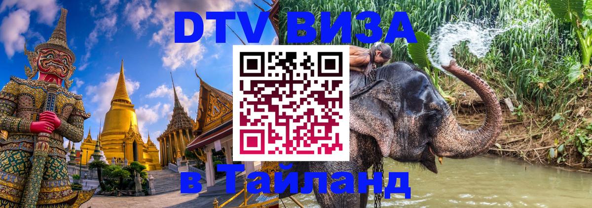 Сколько стоит DTV виза — актуальные цены, оформление даже без документов - Баку  19.11.2025 